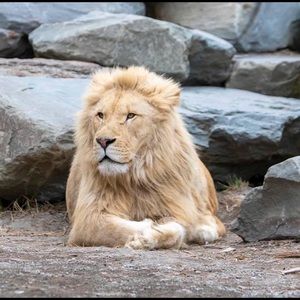 Meet your Posher, Dana